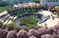 最美花園景觀設計：美國?亨廷頓植物園