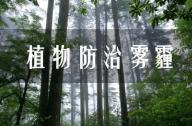 PM2.5有的治嗎？